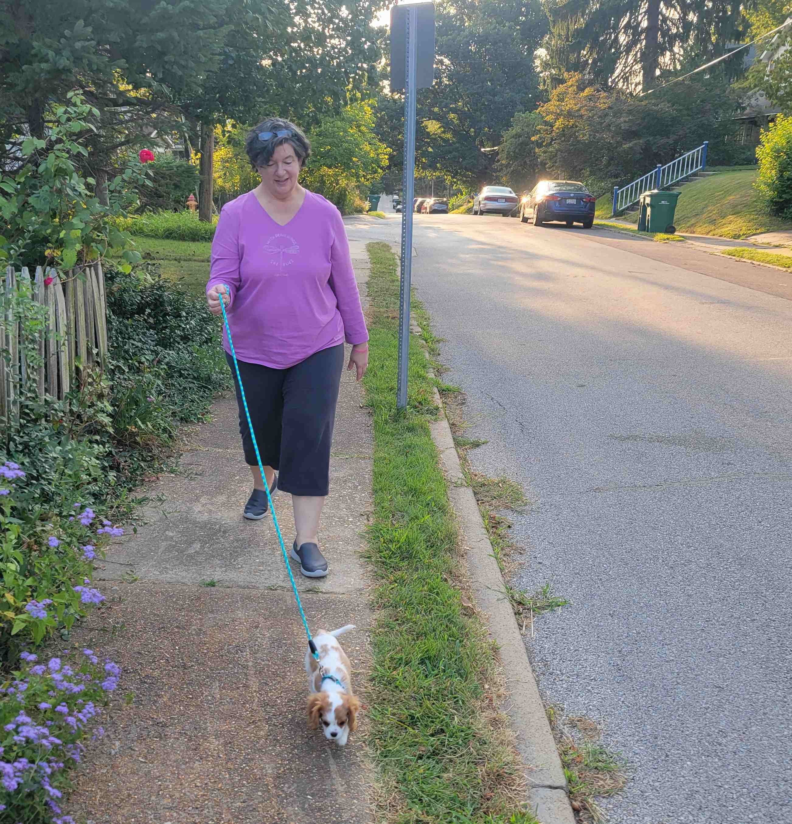 2024-09-08 Bethany and Bingley meeting me on walk home.jpg